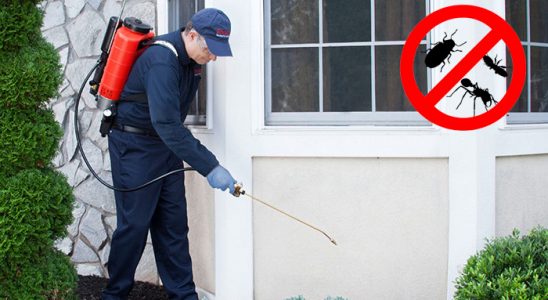Aşkale Kene İlaçlama böcek ilaçlama ve haşere kontrolü — ilaclama-tr.com
